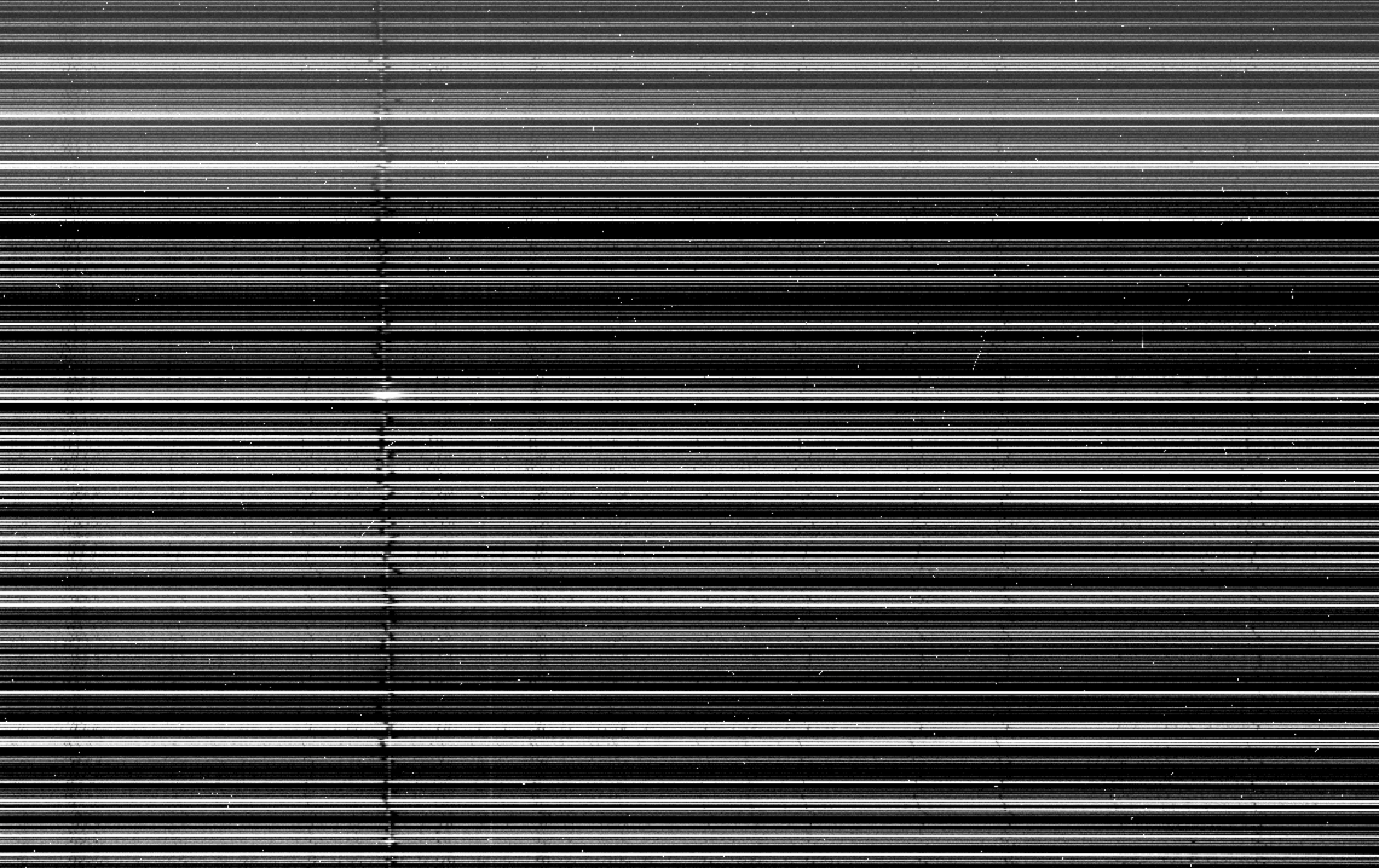 This picture shows a part of the CCD Camera image of the 3rd HERMES detector. Spectra per star go horizontally with a greyscale indicating the number of photons/electrons counted. Absorption lines, like the strong Halpha line in the left third of each spectrum are dark black lines and are wiggling from star to star due to their motion away from us or towards us.